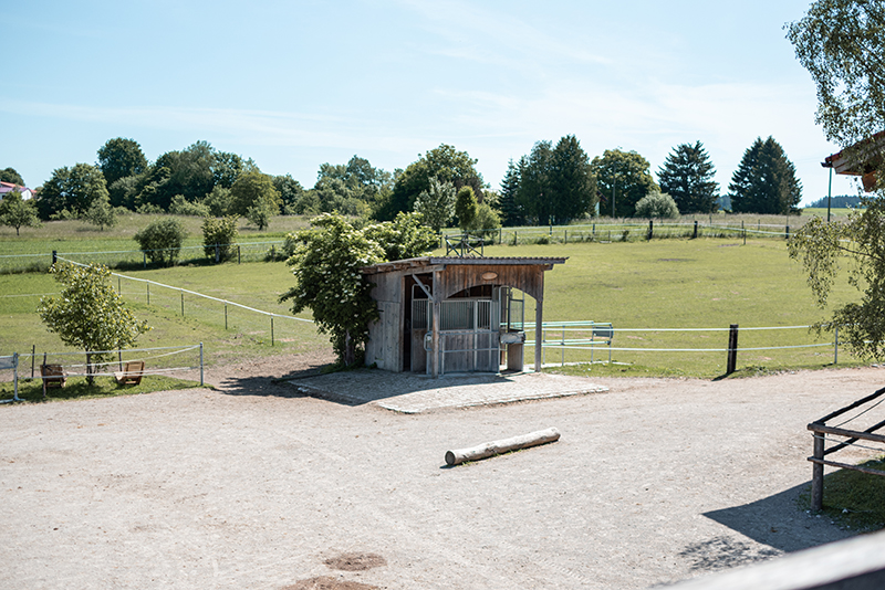 Futterautomat im Aktivstall Kollenda