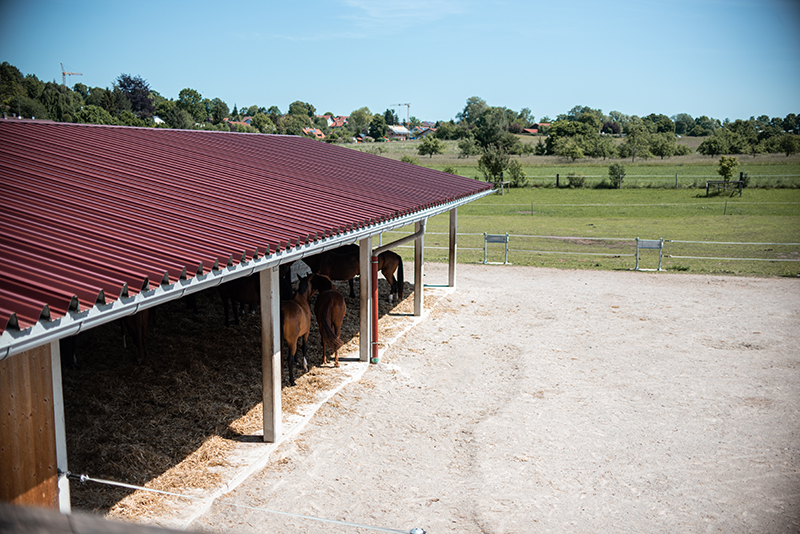 Blick auf den Paddock und die Liegehalle im Aktivstall Kollenda