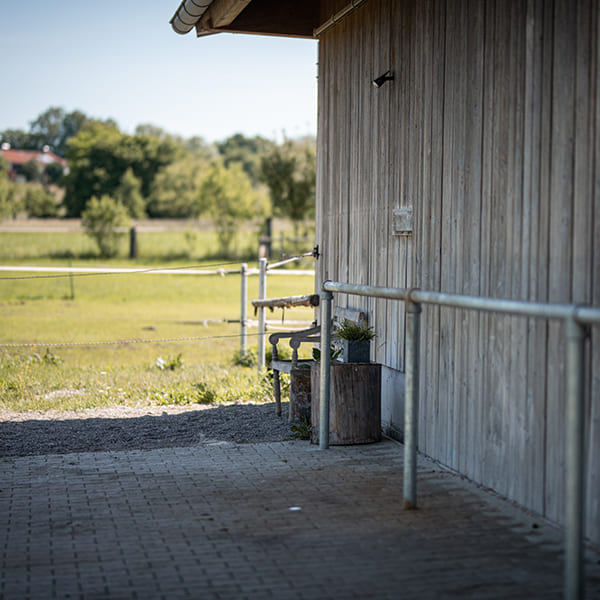 Außenputzplatz im Aktivstall Kollenda