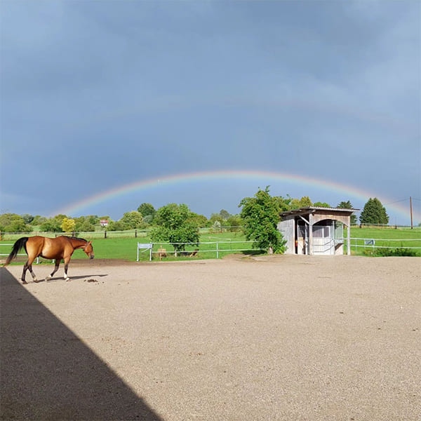 Regenbogen über dem Paddock mit Futterautomat im Aktivstall Kollenda