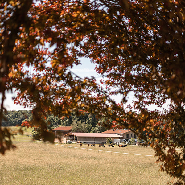 Blick auf den Aktivstall Kollenda