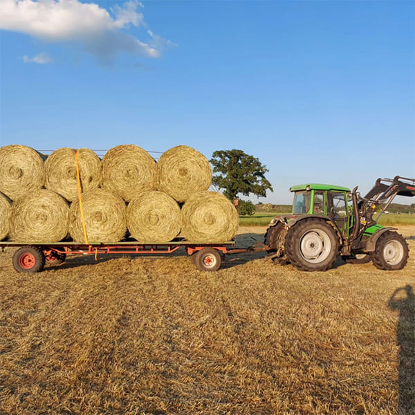 Traktor beladen mti Heuballen aus eigener Produktion für die Pferde im Aktivstall Kollenda