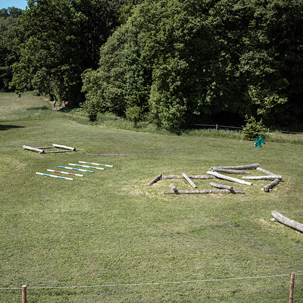 Holz-Trails und Trainings-Stangen auf der Reitwiese im Aktivstall Kollenda